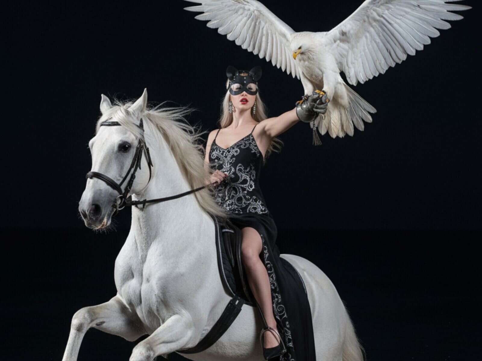 AliceShelby Porn Vip Show