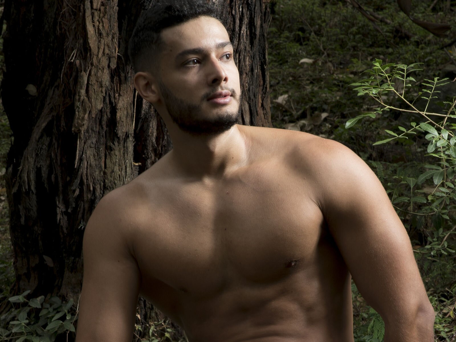 CalixSnake Porn Vip Show